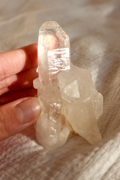 Drusa Cuarzo Cristal