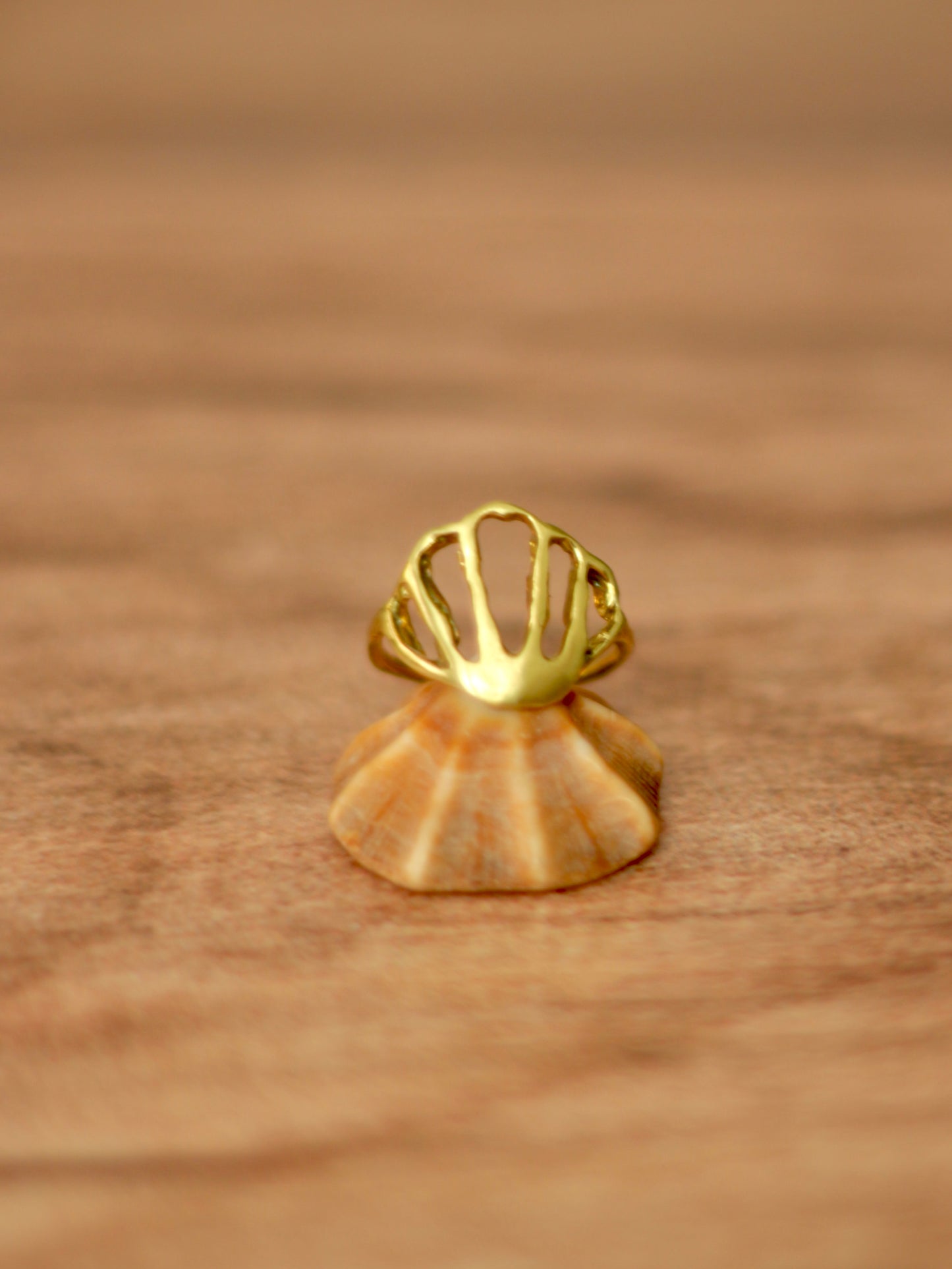 Anillo Conchita Bronce