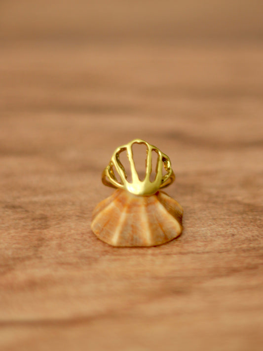 Anillo Conchita Bronce