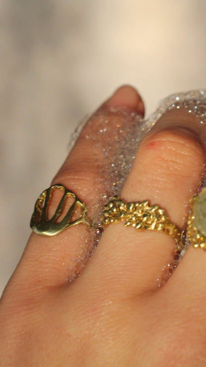 Anillo Conchita Bronce
