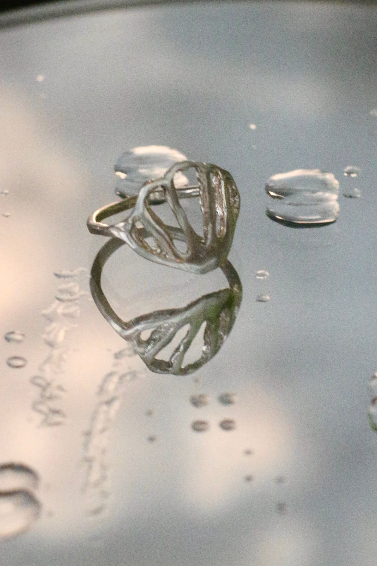 Anillo Conchita Plata