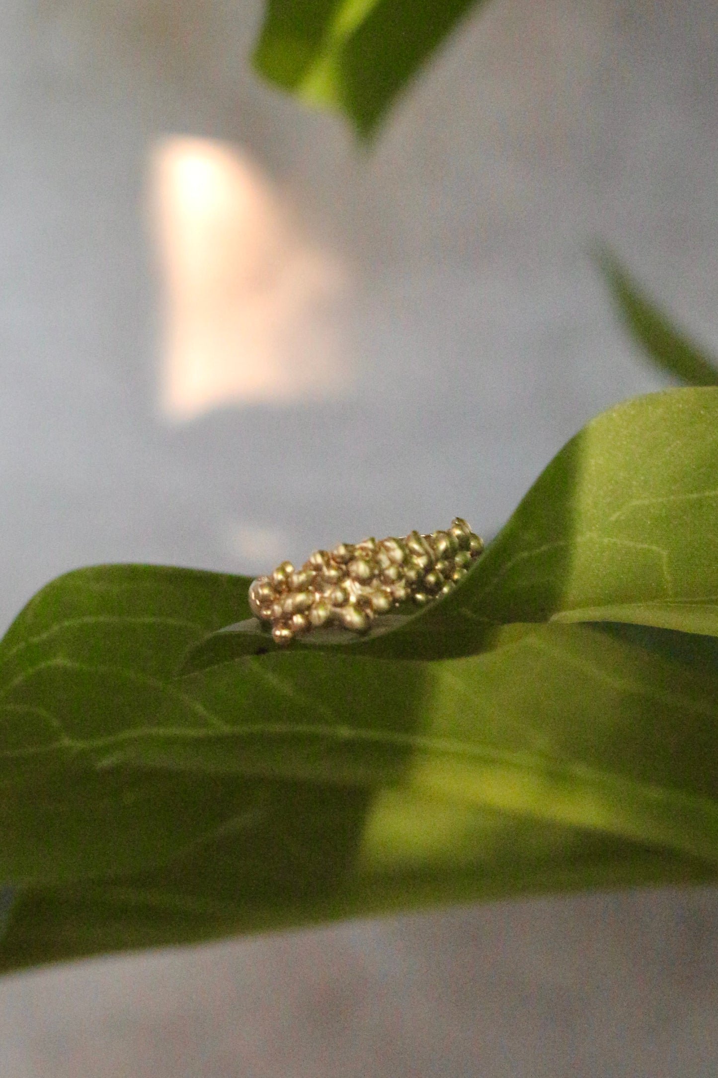 Anillo Espuma Bronce