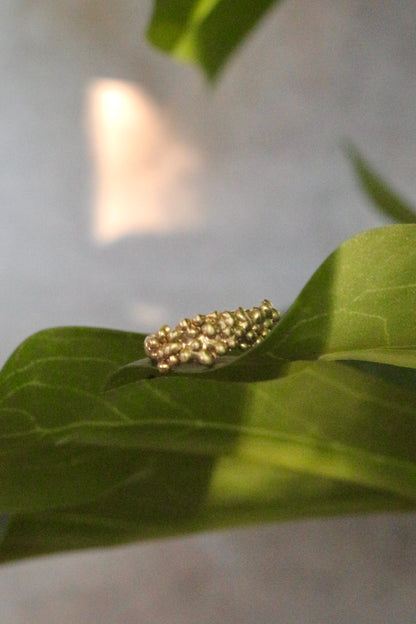 Anillo Espuma Bronce