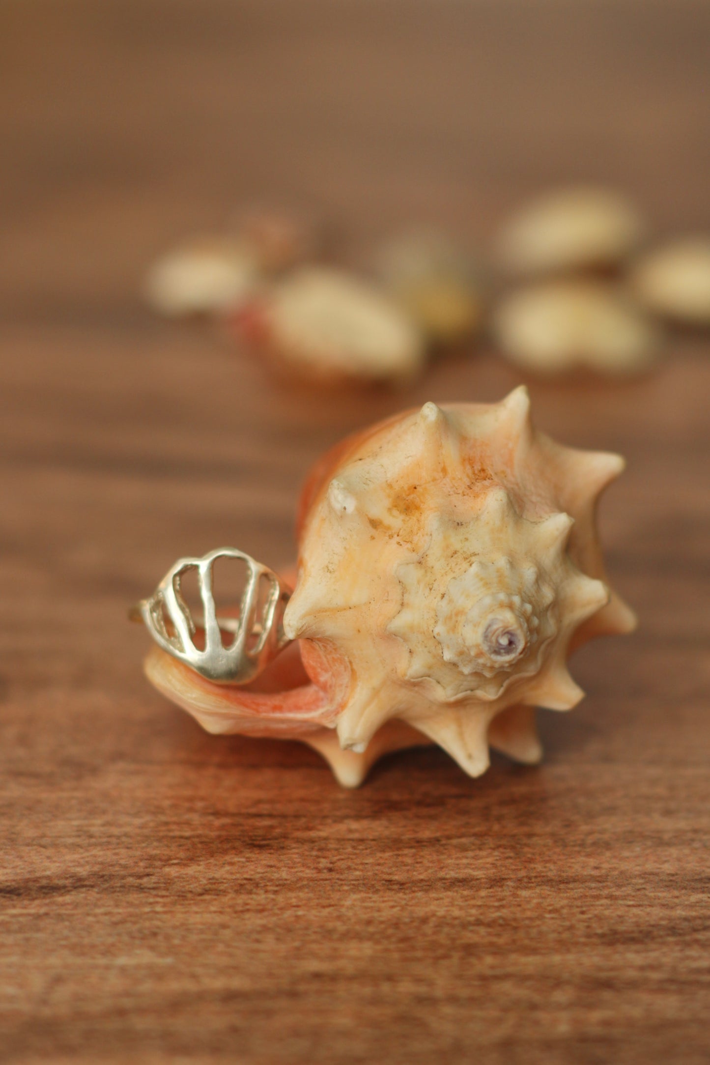 Anillo Conchita Plata