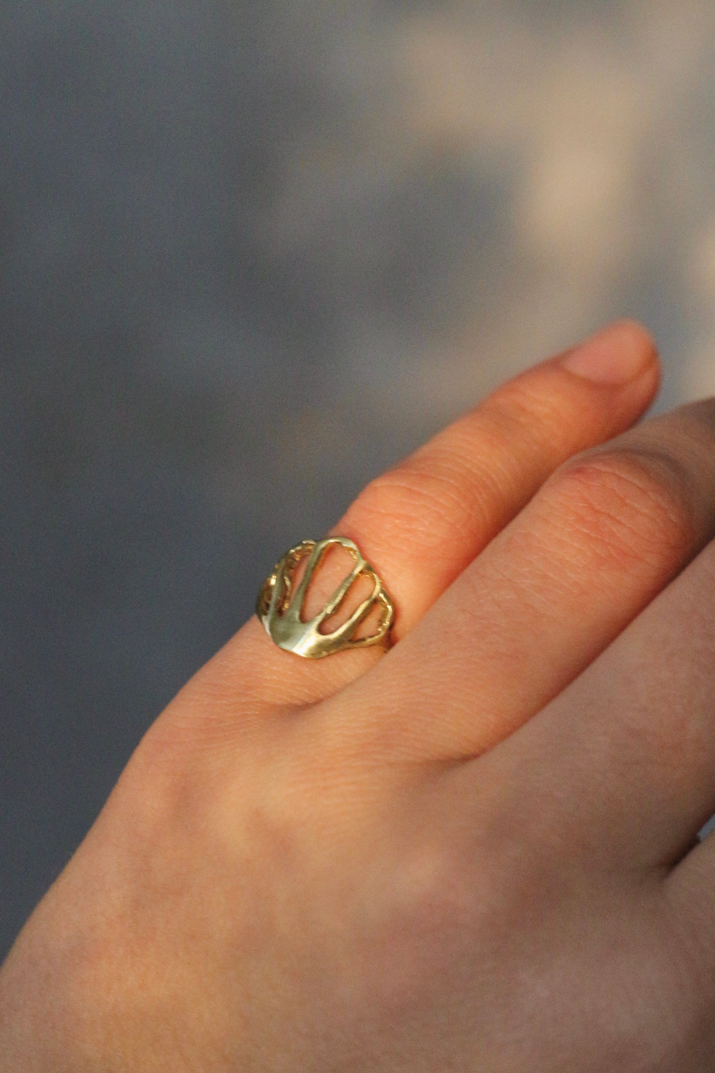 Anillo Conchita Bronce