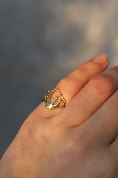 Anillo Conchita Bronce