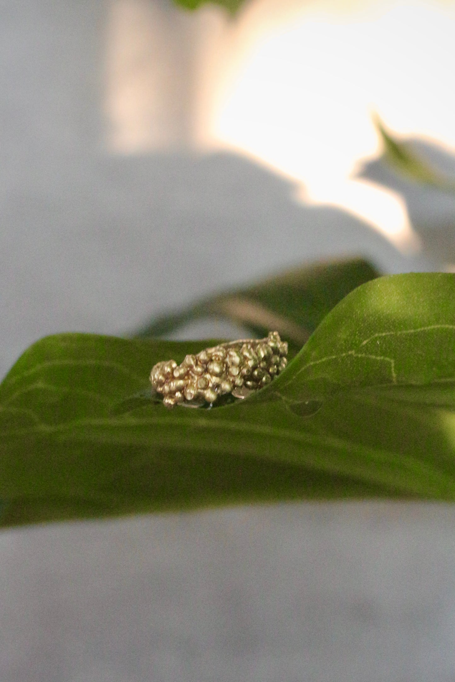 Anillo Espuma Bronce