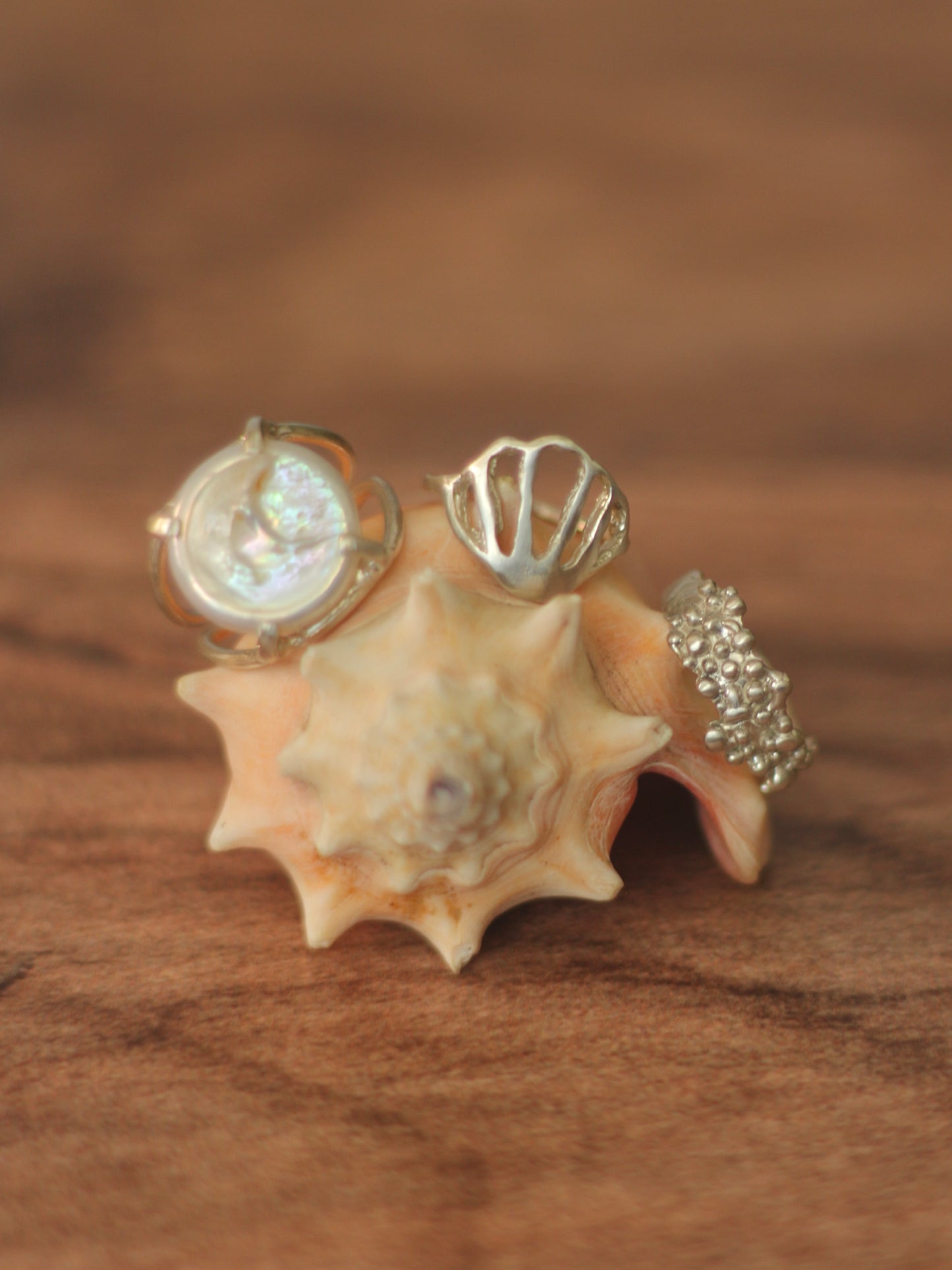 Anillo Conchita Plata