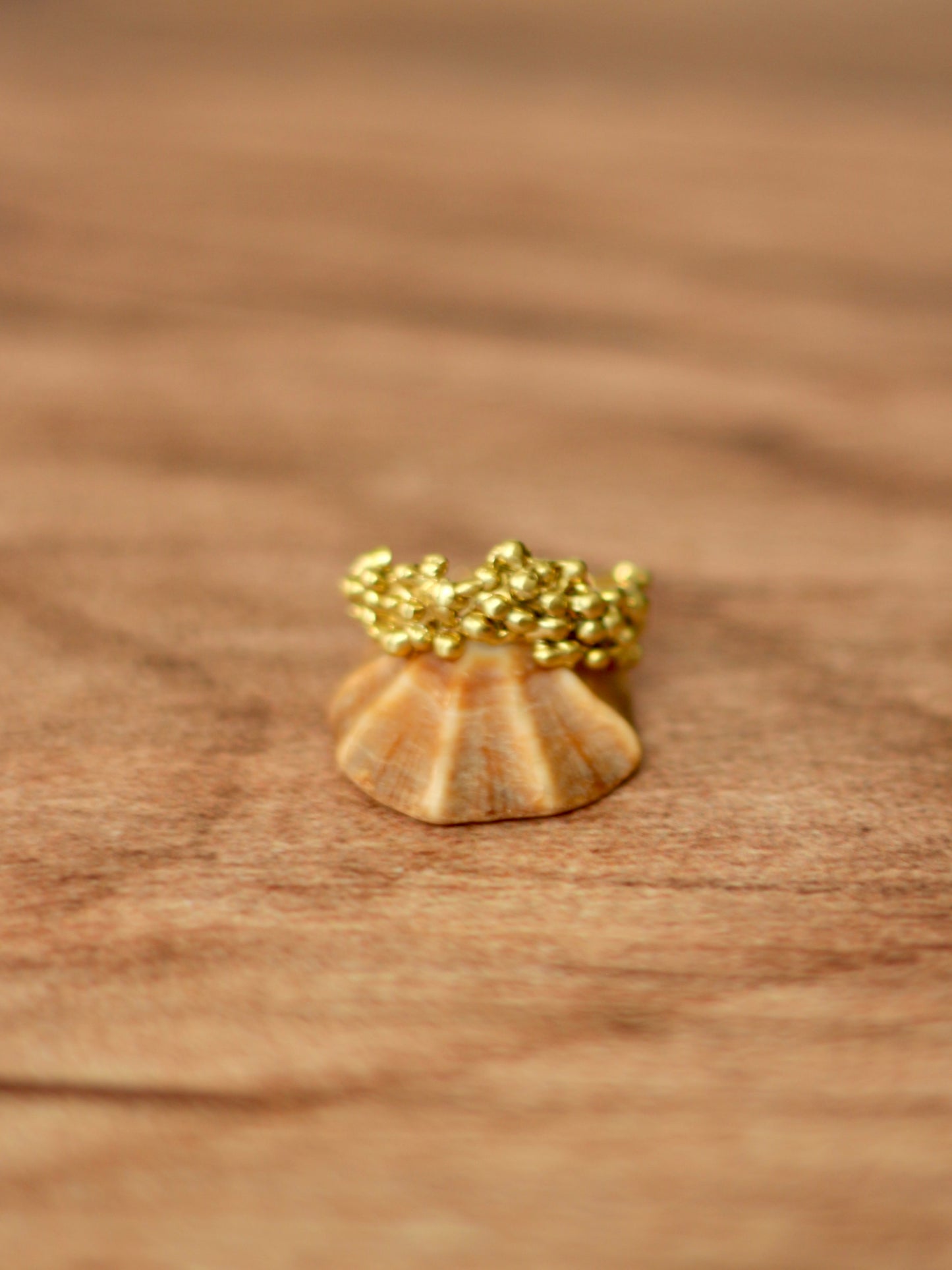 Anillo Espuma Bronce