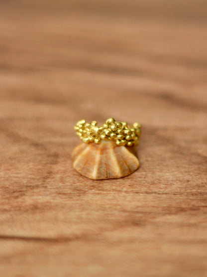 Anillo Espuma Bronce