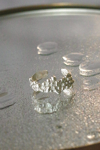 Anillo Espuma Plata